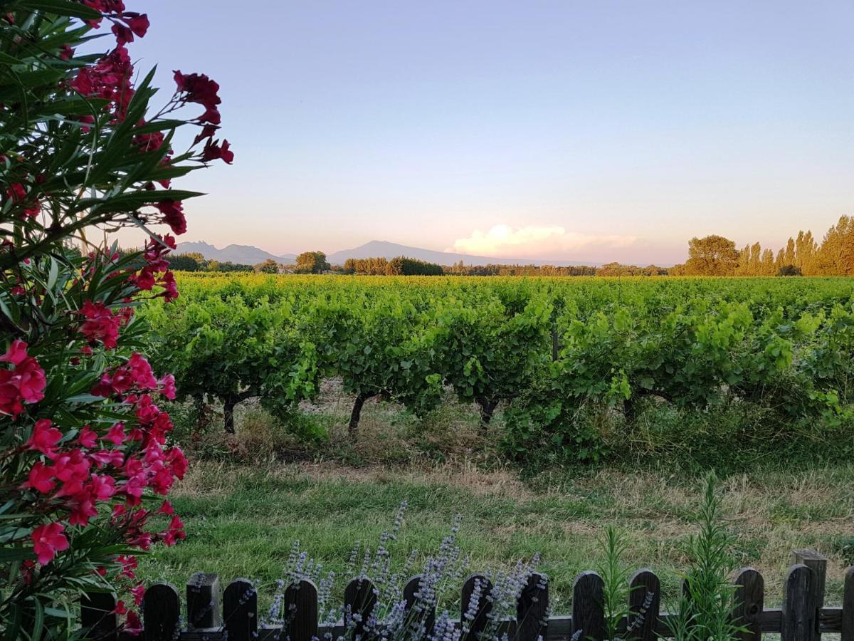 Mas Du Clos De L'Escarrat Jonquieres  外观 照片
