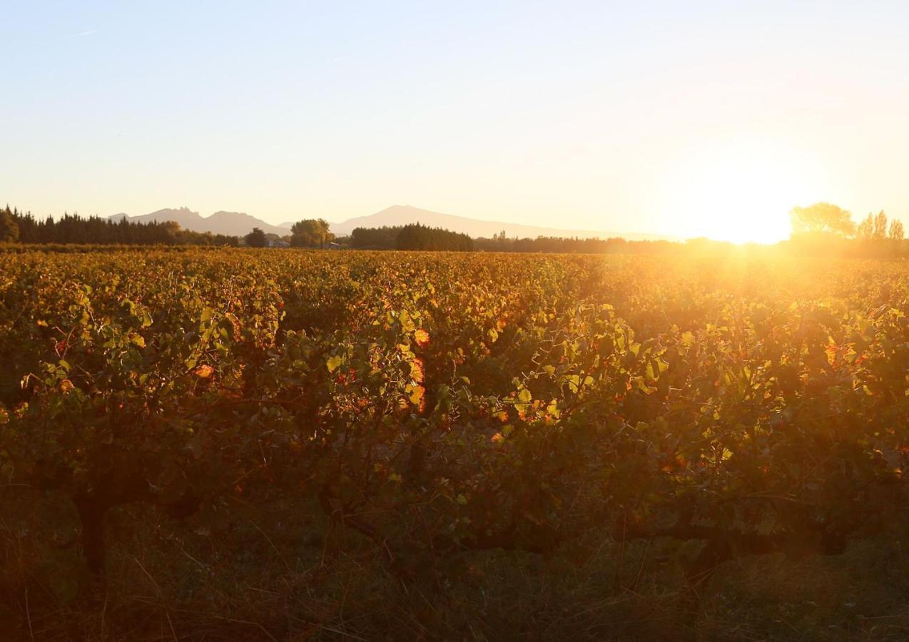 Mas Du Clos De L'Escarrat Jonquieres  外观 照片