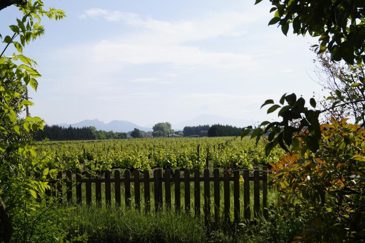 Mas Du Clos De L'Escarrat Jonquieres  外观 照片