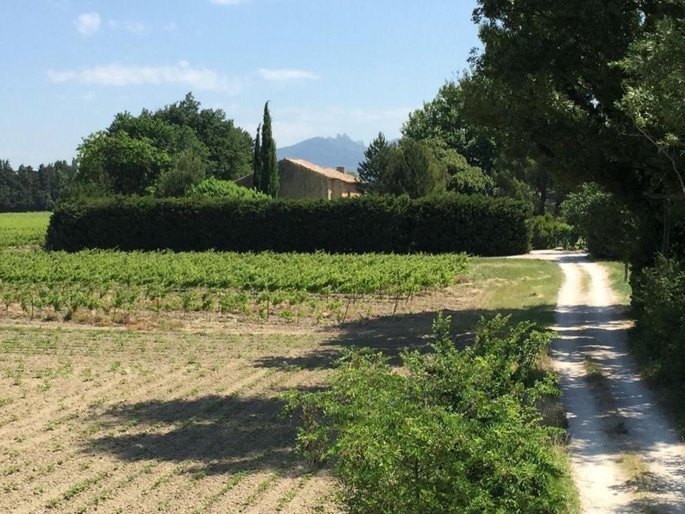Mas Du Clos De L'Escarrat Jonquieres  外观 照片